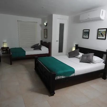 Boutique Diego De Alcala