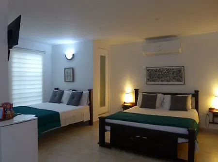 Boutique Diego De Alcala 4*