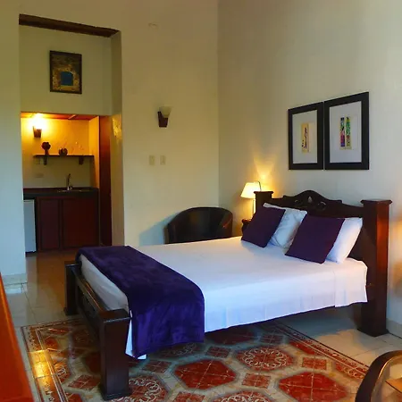 Boutique Diego De Alcala Hotel 4*