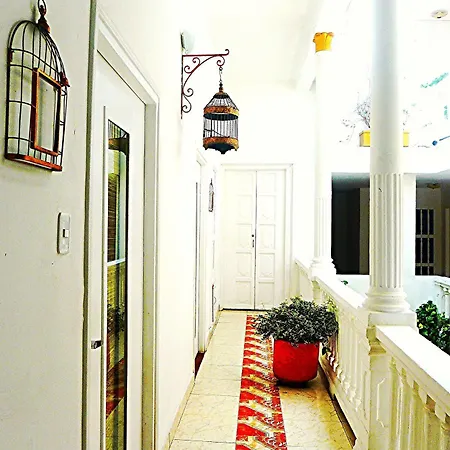 Boutique Diego De Alcala